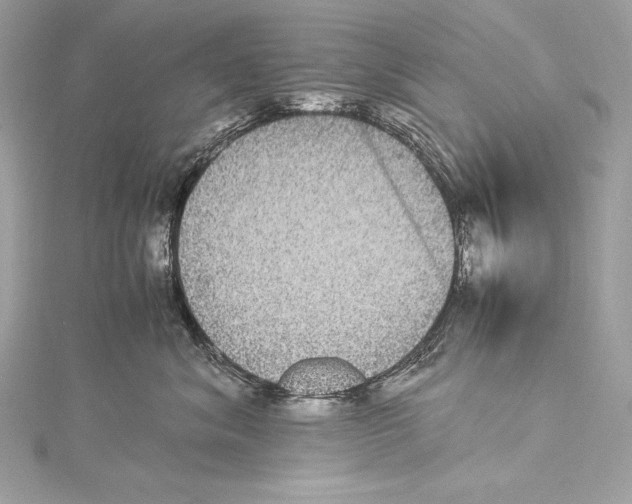 X0000115340620200911301549