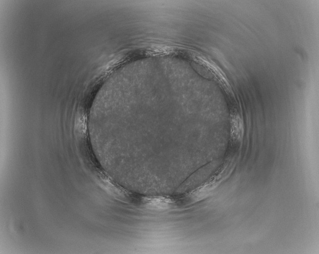 X0000115340621200911301549