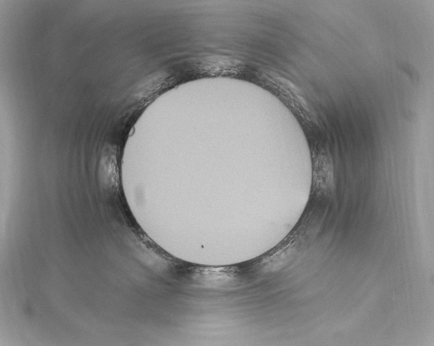 X0000115340622200911301549