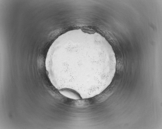 X0000115340623200911301549