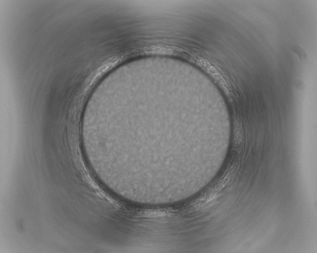 X0000115340625200911301548