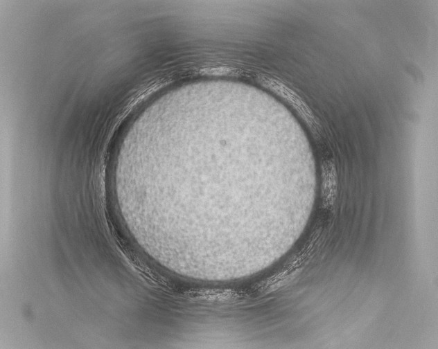 X0000115340626200911301548