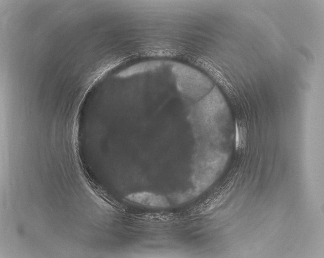 X0000115340627200911301548