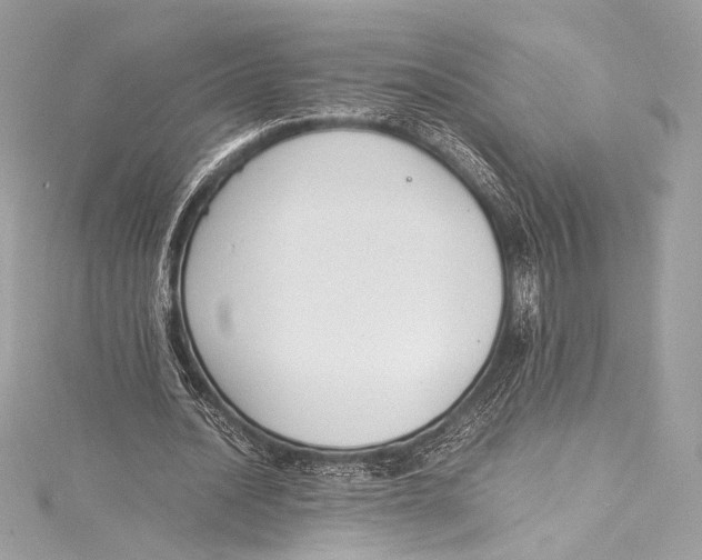 X0000115340628200911301548