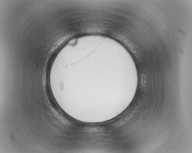 X0000115340629200911301548