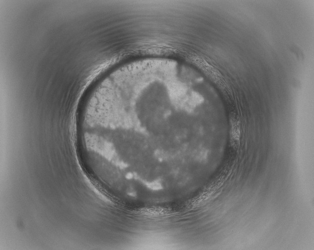 X0000115340630200911301548