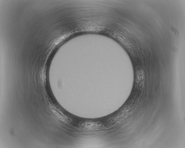 X0000115340632200911301548