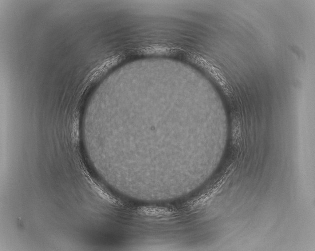 X0000115340633200911301548