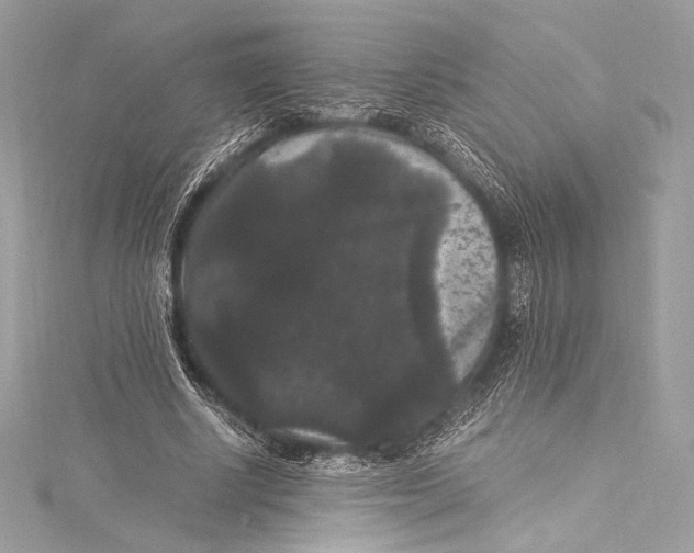 X0000115340634200911301548