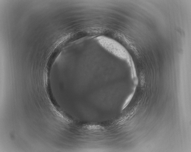 X0000115340637200911301548