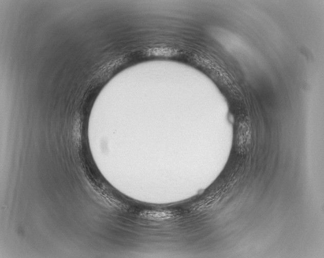 X0000115340639200911301548