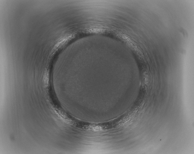 X0000115340640200911301548