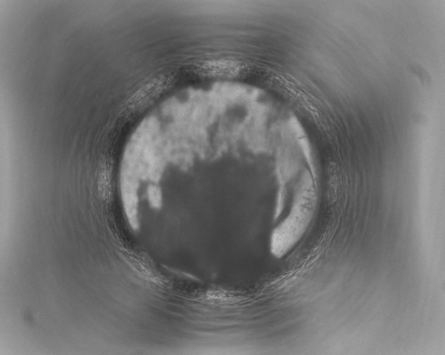 X0000115340641200911301548