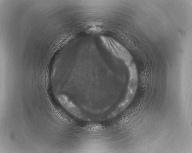 X0000115340642200911301548