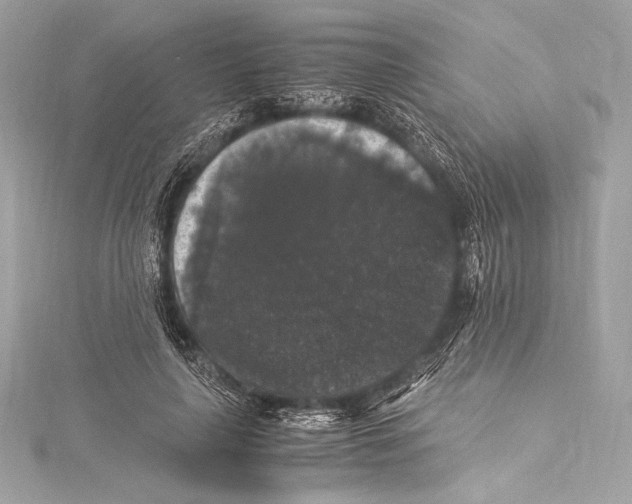 X0000115340643200911301548