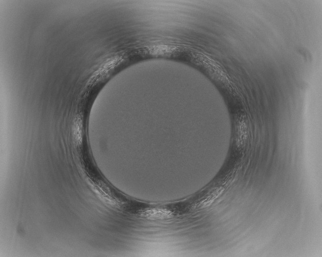 X0000115340644200911301548