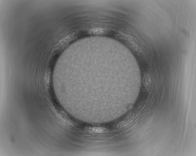 X0000115340645200911301548