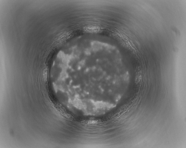 X0000115340647200911301548