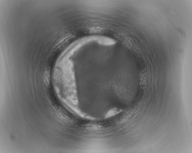 X0000115340648200911301548