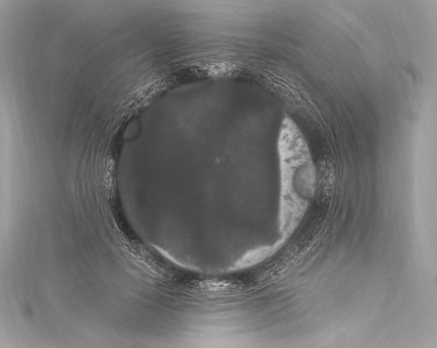 X0000115340650200911301548