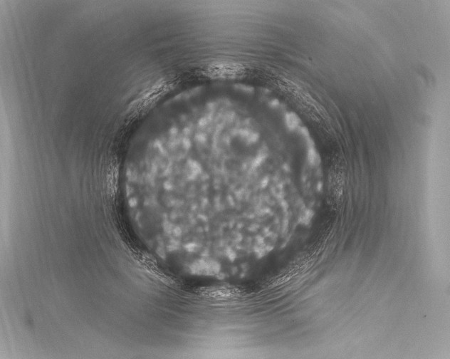 X0000115340652200911301549