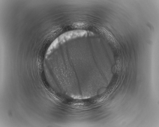 X0000115340653200911301549