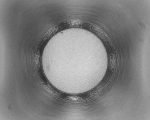 X0000115340654200911301549