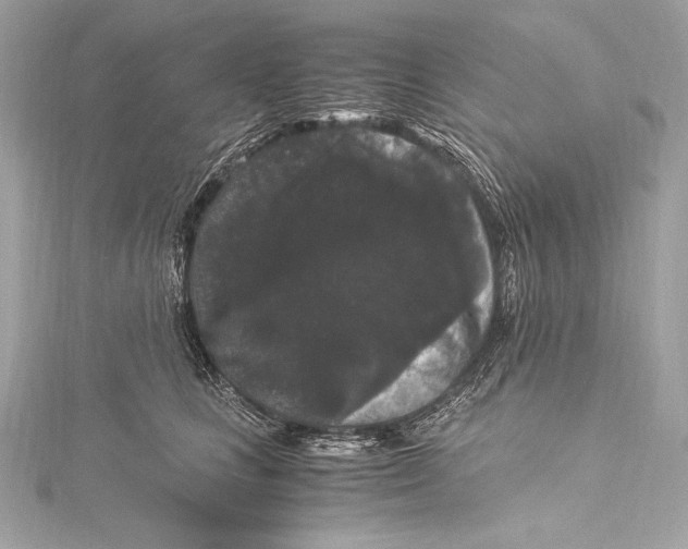 X0000115340661200911301549