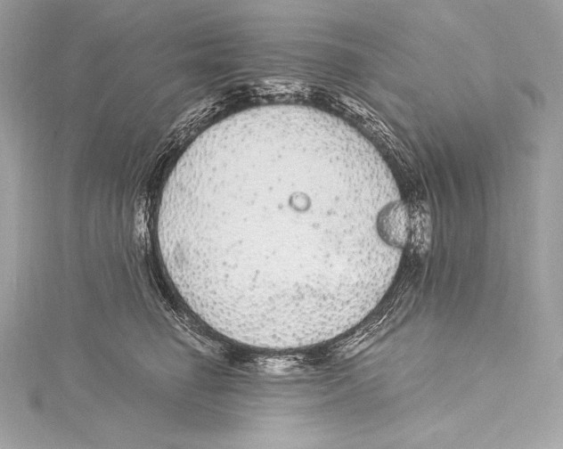 X0000115340662200911301549