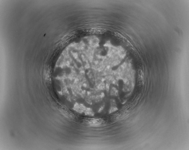 X0000115340663200911301549