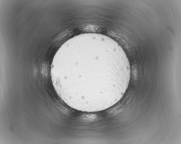 X0000115340665200911301549