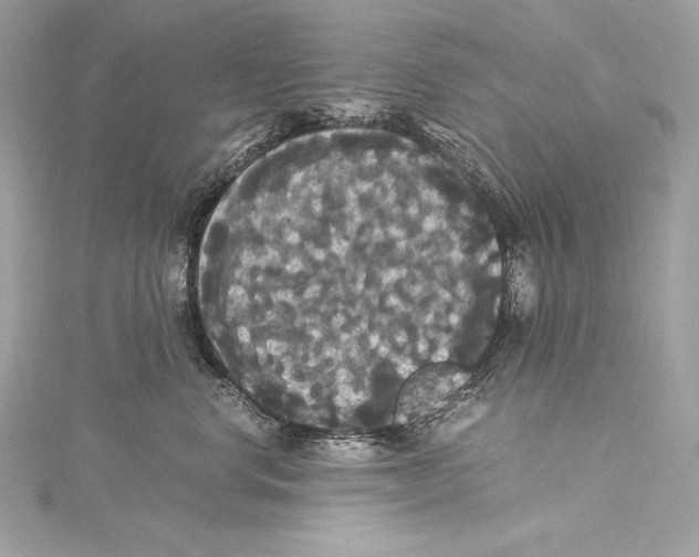 X0000115340668200911301549