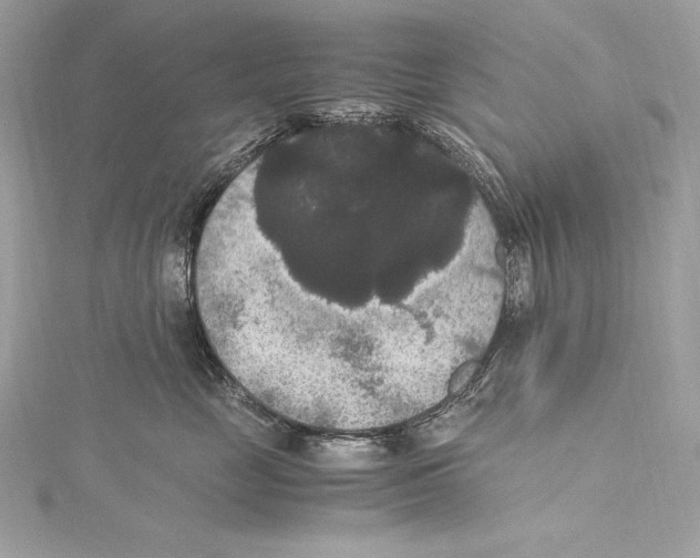 X0000115340669200911301549