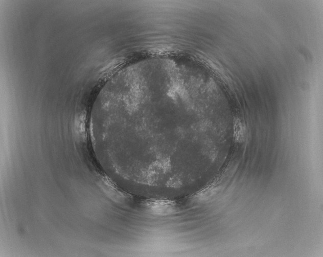 X0000115340670200911301549