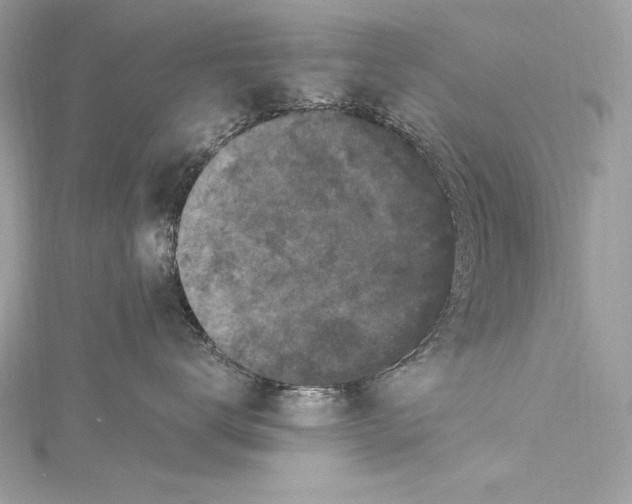 X0000115340672200911301549