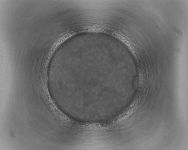 X0000115340673200911301548