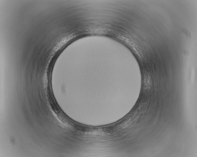 X0000115340674200911301548