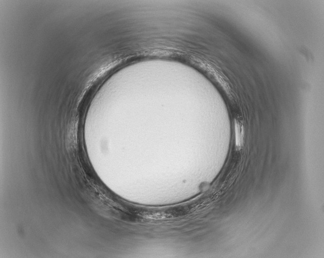 X0000115340675200911301548