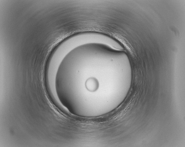 X0000115340677200911301548