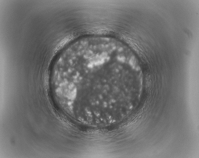 X0000115340679200911301548