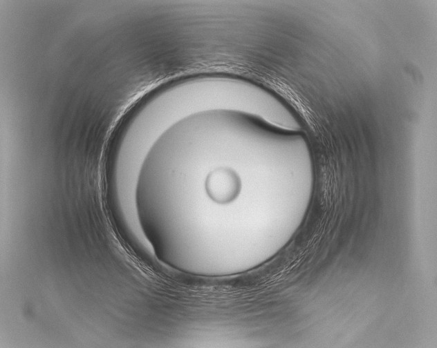 X0000115340680200911301548