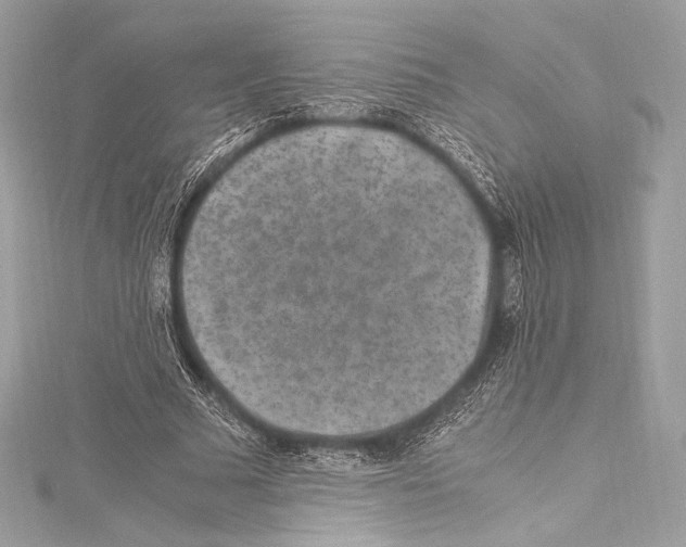 X0000115340681200911301548