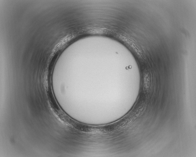 X0000115340682200911301548