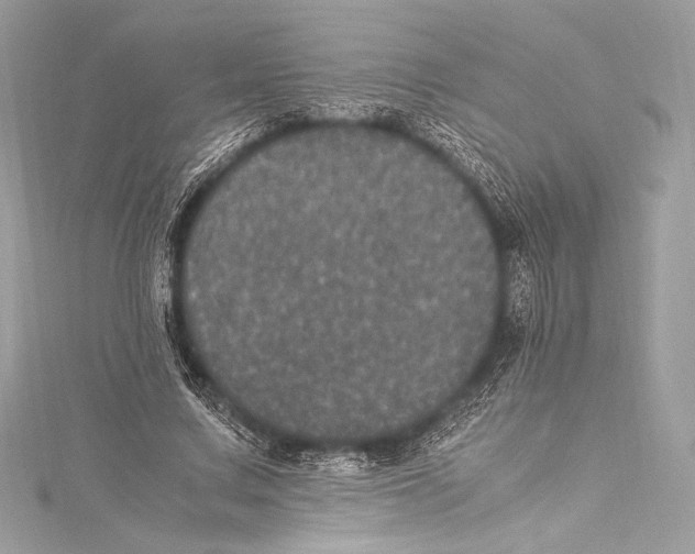 X0000115340683200911301548