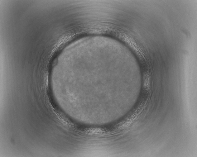 X0000115340685200911301548