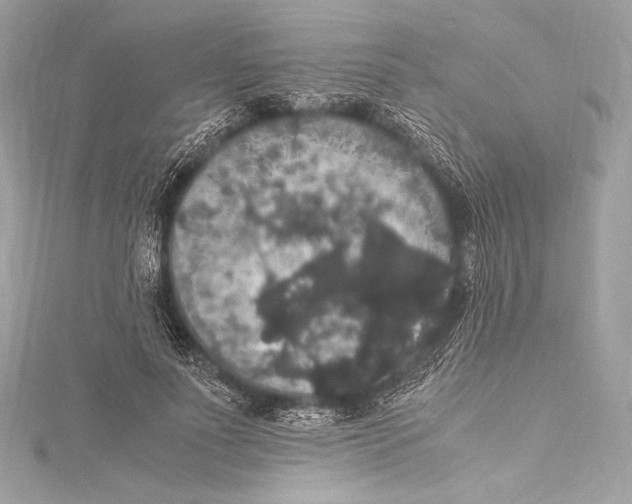 X0000115340691200911301548