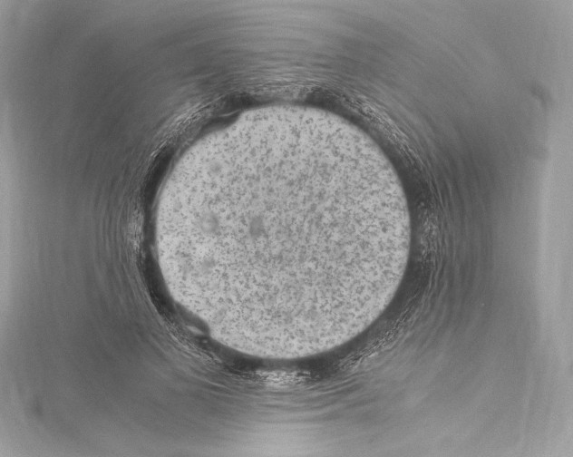 X0000115340693200911301548