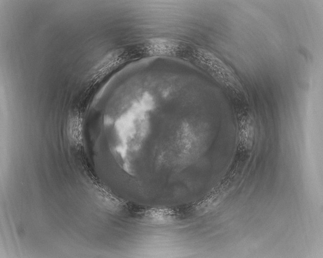 X0000115340696200911301548