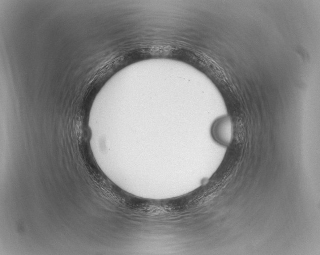 X0000115340697200911301548