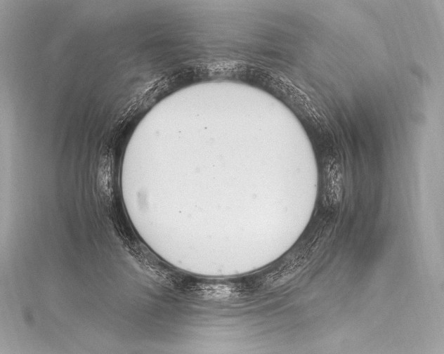 X0000115340698200911301548